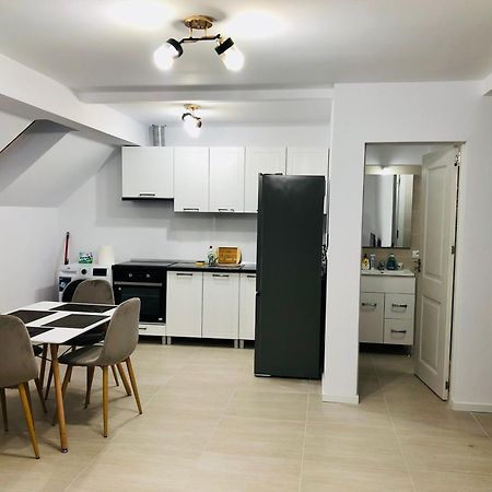 New And Modern Apartments In Villa, Near City Center M36 蒂米什瓦拉 外观 照片