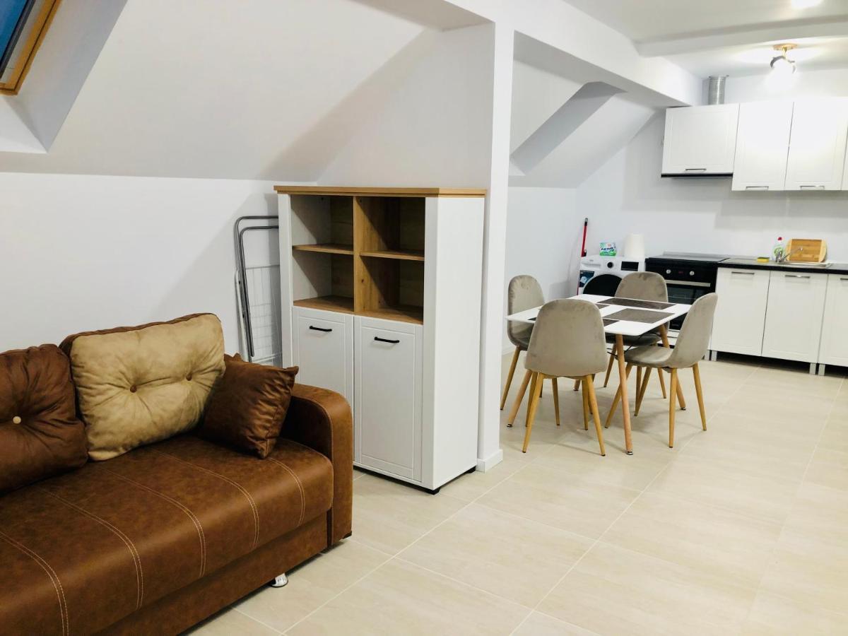 New And Modern Apartments In Villa, Near City Center M36 蒂米什瓦拉 外观 照片