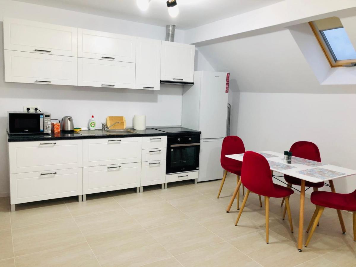 New And Modern Apartments In Villa, Near City Center M36 蒂米什瓦拉 外观 照片