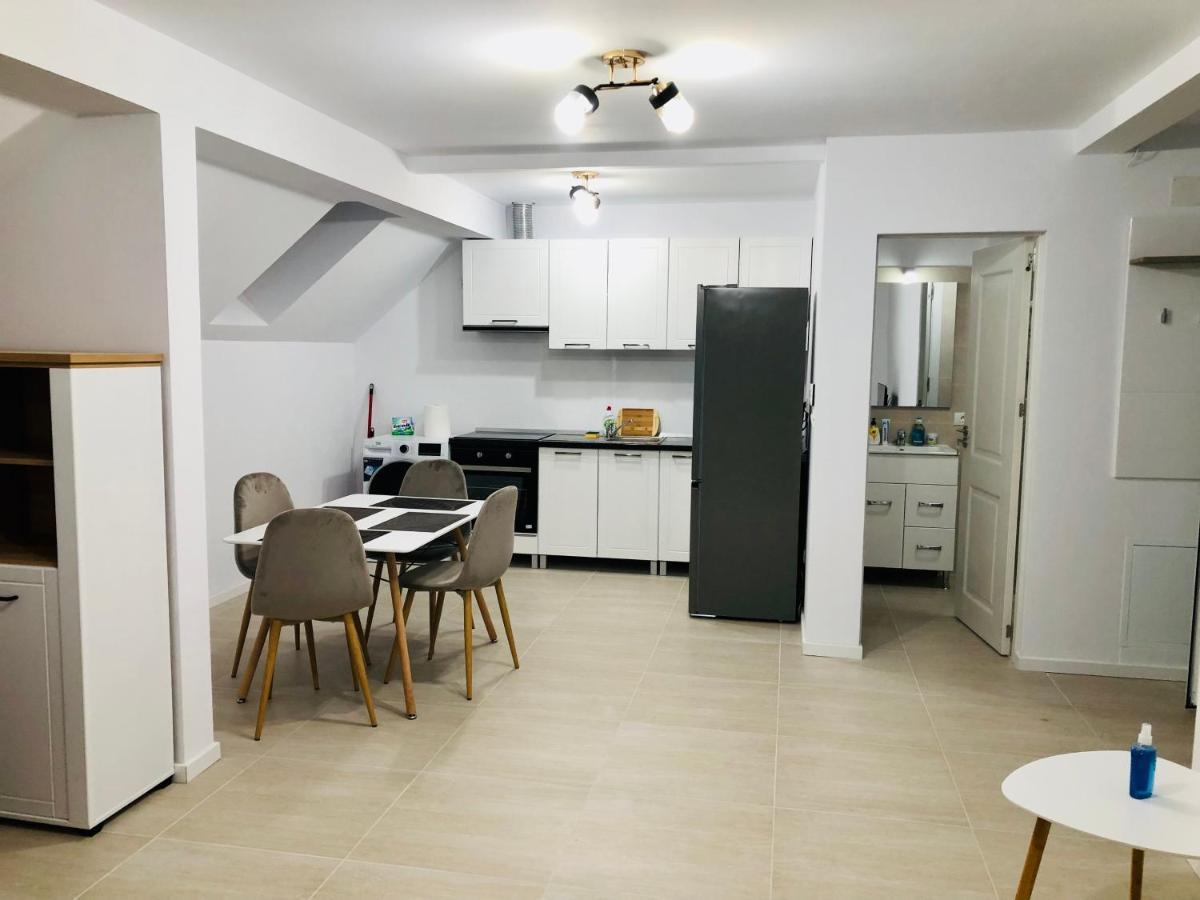 New And Modern Apartments In Villa, Near City Center M36 蒂米什瓦拉 外观 照片