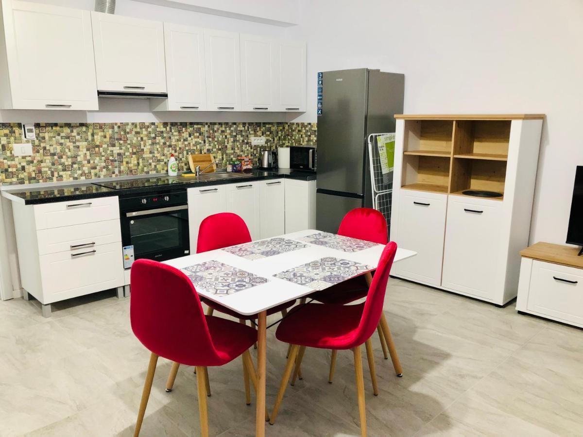 New And Modern Apartments In Villa, Near City Center M36 蒂米什瓦拉 外观 照片