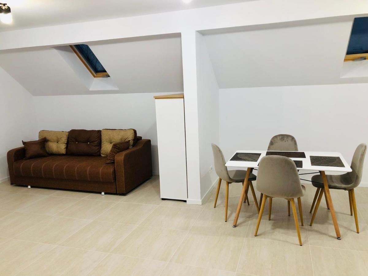 New And Modern Apartments In Villa, Near City Center M36 蒂米什瓦拉 外观 照片
