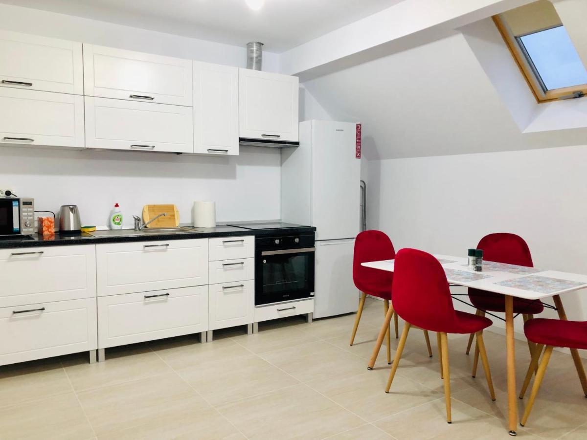 New And Modern Apartments In Villa, Near City Center M36 蒂米什瓦拉 外观 照片