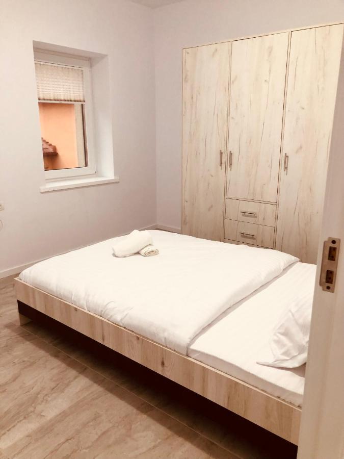 New And Modern Apartments In Villa, Near City Center M36 蒂米什瓦拉 外观 照片
