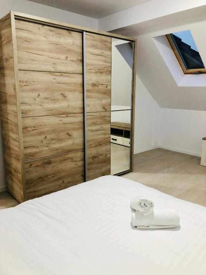 New And Modern Apartments In Villa, Near City Center M36 蒂米什瓦拉 外观 照片