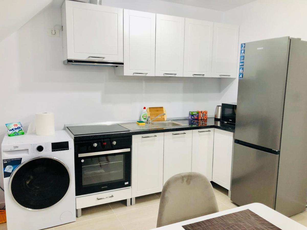 New And Modern Apartments In Villa, Near City Center M36 蒂米什瓦拉 外观 照片