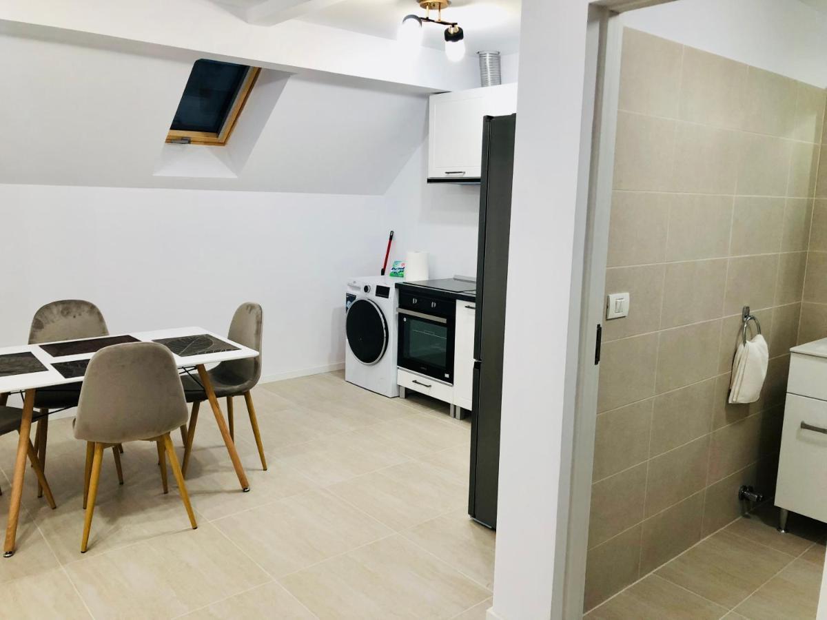 New And Modern Apartments In Villa, Near City Center M36 蒂米什瓦拉 外观 照片
