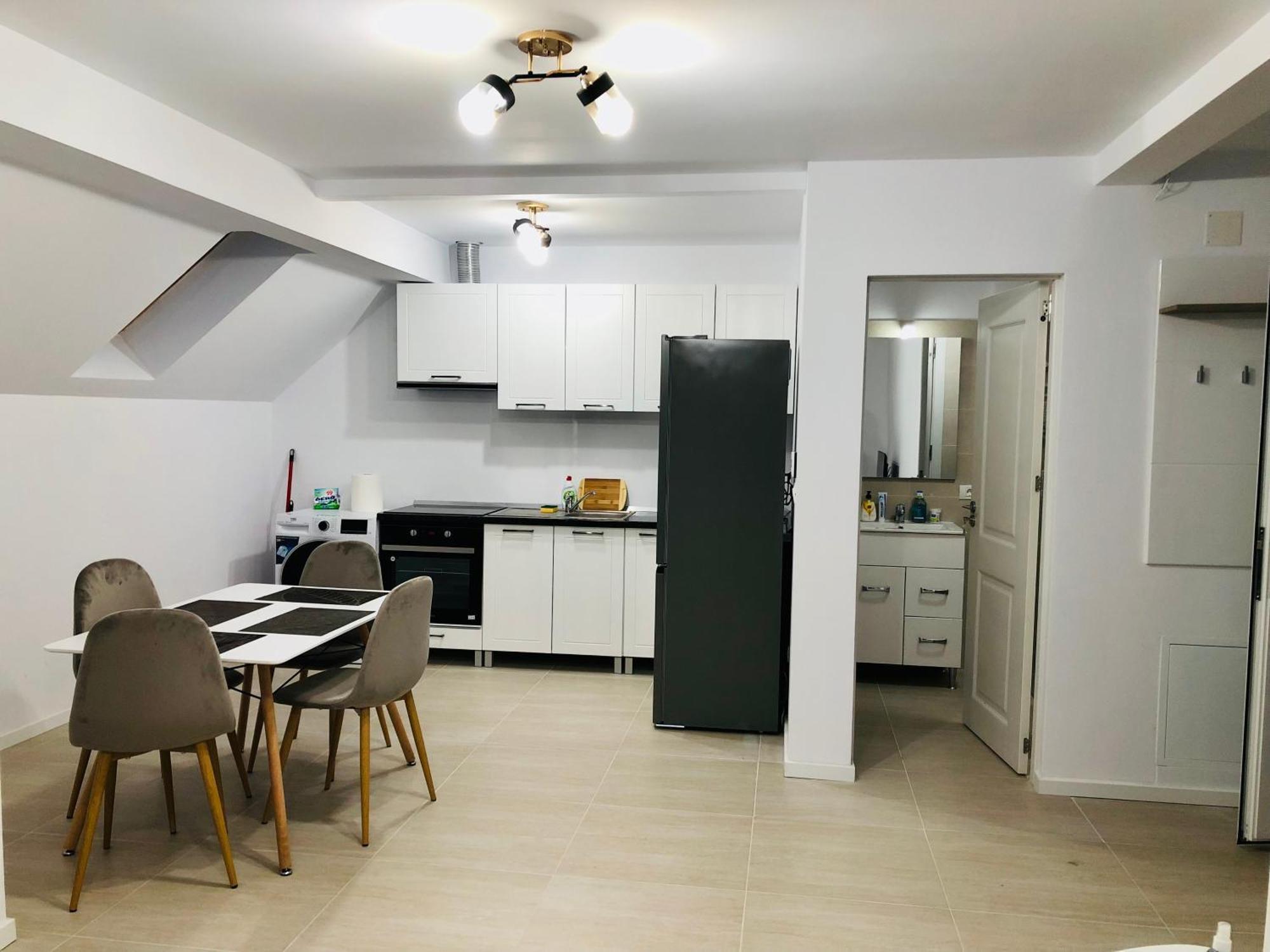 New And Modern Apartments In Villa, Near City Center M36 蒂米什瓦拉 外观 照片