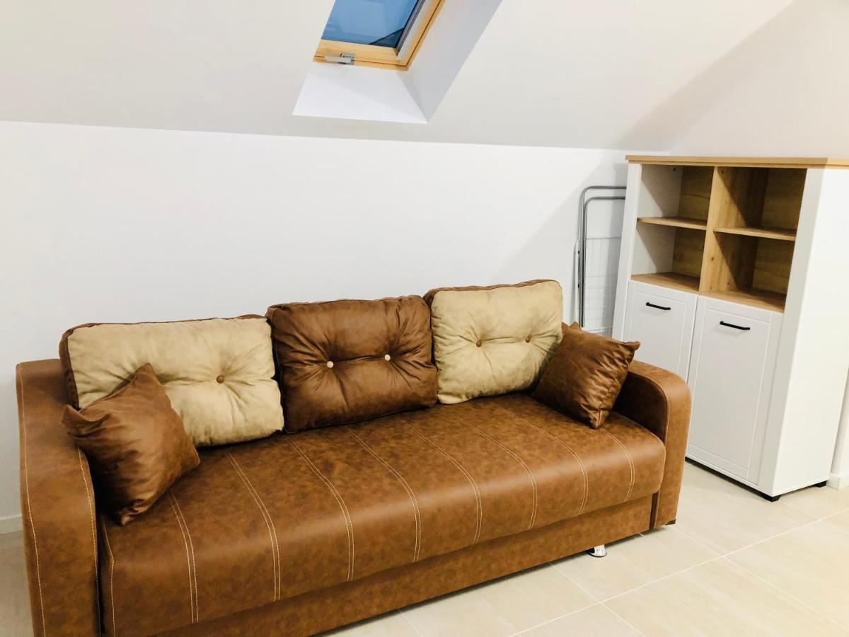 New And Modern Apartments In Villa, Near City Center M36 蒂米什瓦拉 外观 照片