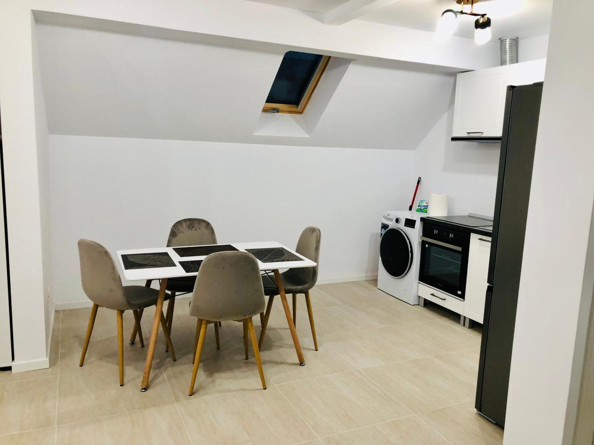New And Modern Apartments In Villa, Near City Center M36 蒂米什瓦拉 外观 照片