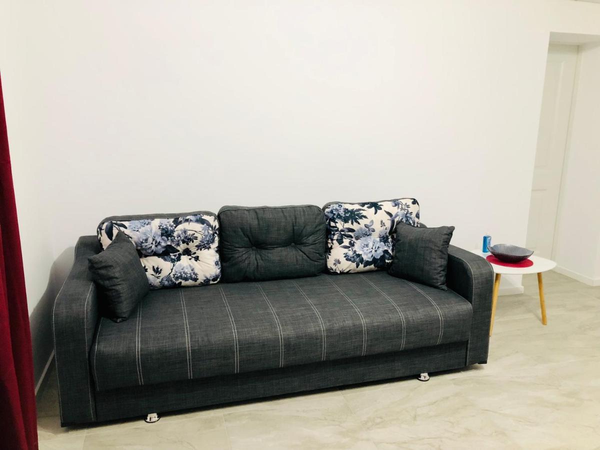 New And Modern Apartments In Villa, Near City Center M36 蒂米什瓦拉 外观 照片