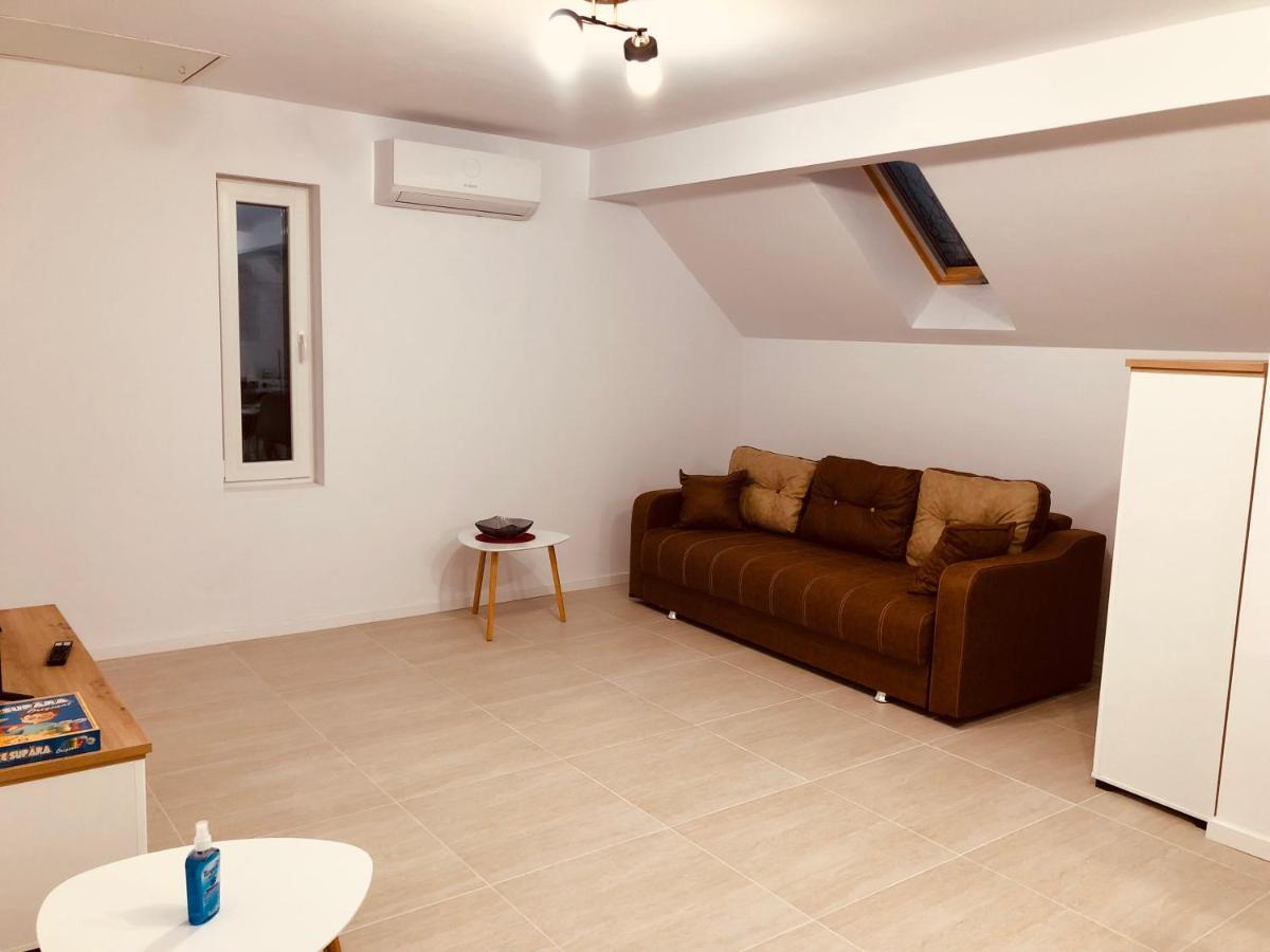 New And Modern Apartments In Villa, Near City Center M36 蒂米什瓦拉 外观 照片