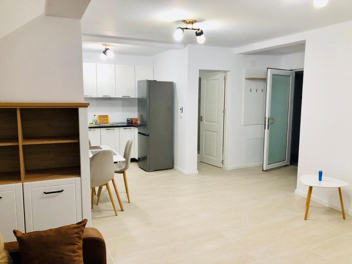 New And Modern Apartments In Villa, Near City Center M36 蒂米什瓦拉 外观 照片