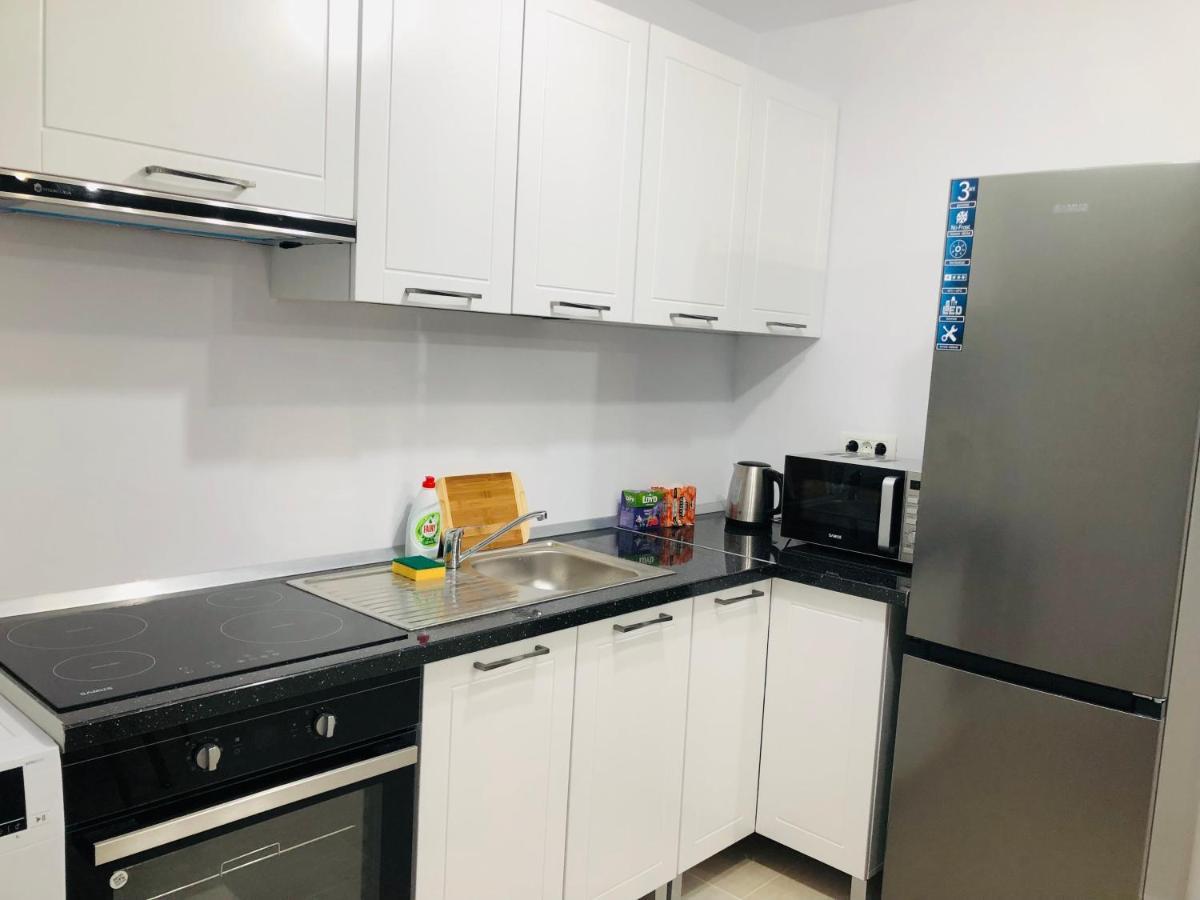 New And Modern Apartments In Villa, Near City Center M36 蒂米什瓦拉 外观 照片